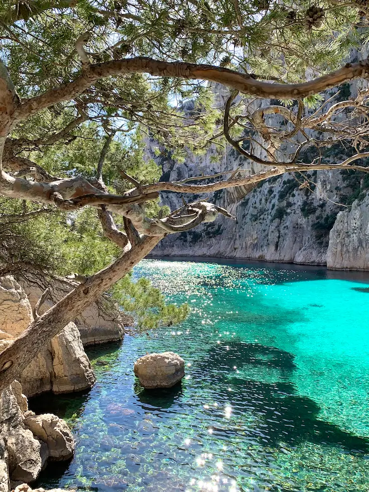 The calanques of Marseille